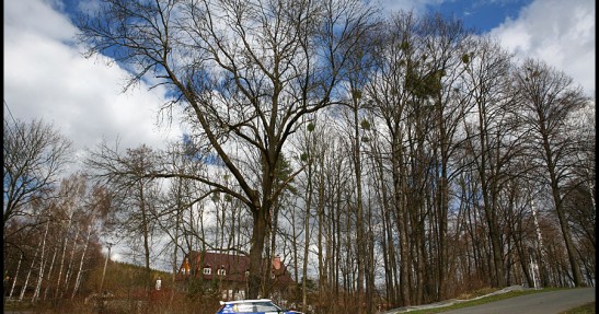 Valasska Rally